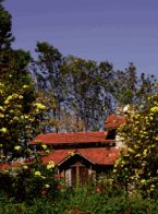 41e9308d8f1a4f743eb644440e27d52d